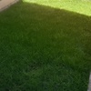 Mantener Jardín