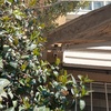 Reparar Toldo