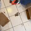 Remodelar Casa