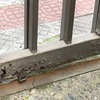 Pequeños Trabajos Carpintería Metálica
