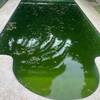 Trabajos Mantención Piscina