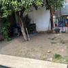 Pasto Sintético