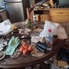 Limpieza Casa