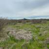 Nivelar Terreno