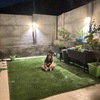 Pasto Natural