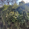 Retiro de Escombros