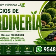 Gerardo Guajardo