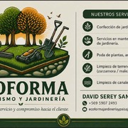 David Serey Serey Sandoval