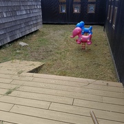 Claudio Huaiquiao Mancilla