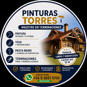 Fernando Torres