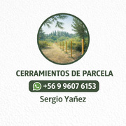 Sergio Yañez