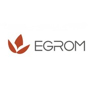 Grupo Egrom Spa