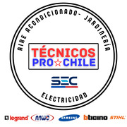 Técnicos Pro
