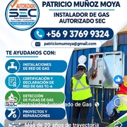 Patricio Andres Muñoz Moya