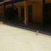 Cristopher sanchez rosales